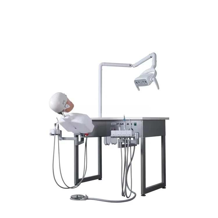 Advanced Dental Teaching Simulator Adjustable Dental Phantom Head Education Simulator