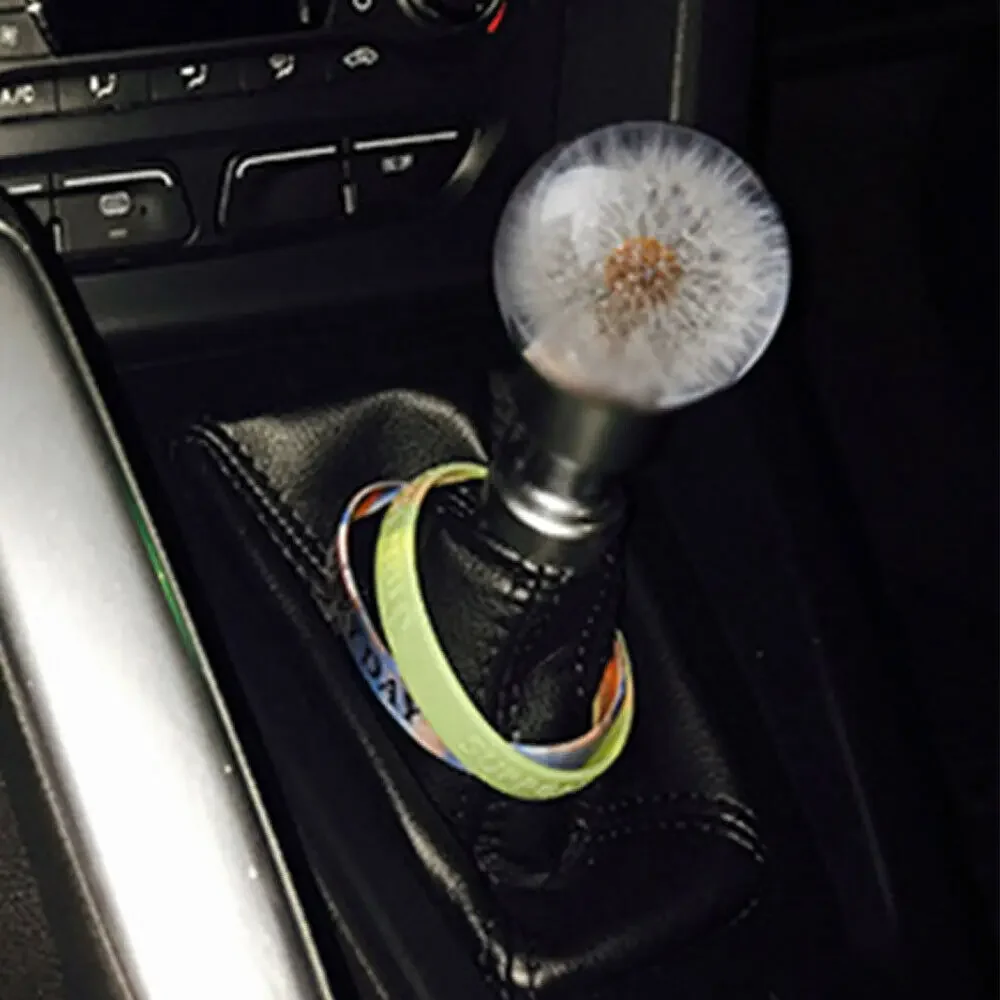 Universal 70MM/54MM Racing Crystal Ball Dandelion Real Flowers Gear Shift Knob Head Transparent DIY