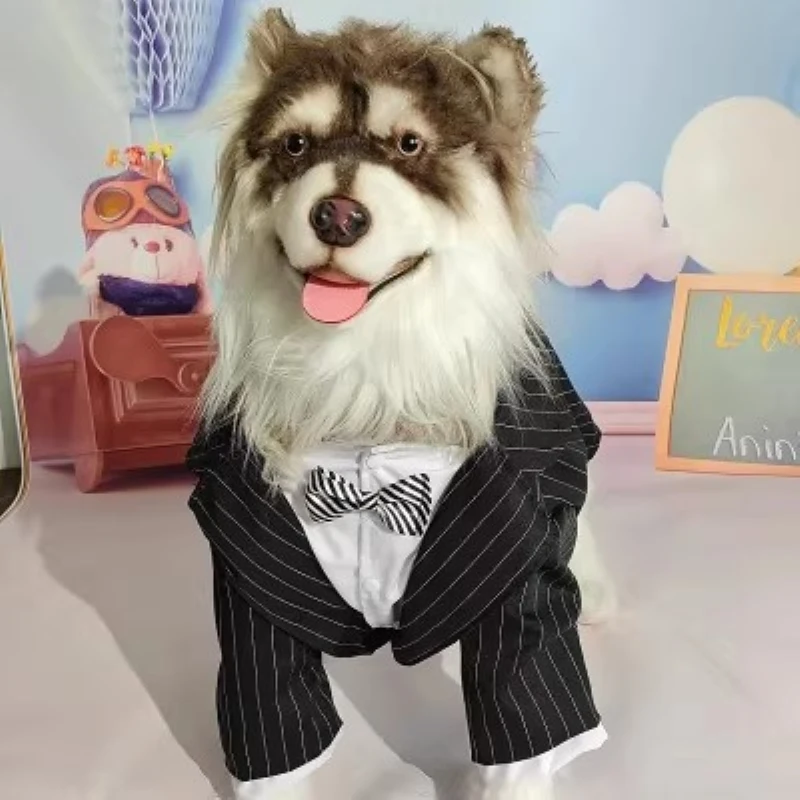 Traje de Boda para Perros Grandes, Esmoquin para Corgi, Border Collie, Samoyed, Husky, Labrador, Golden Retriever, Alaskan Malamute, Ropa para Perros Grandes