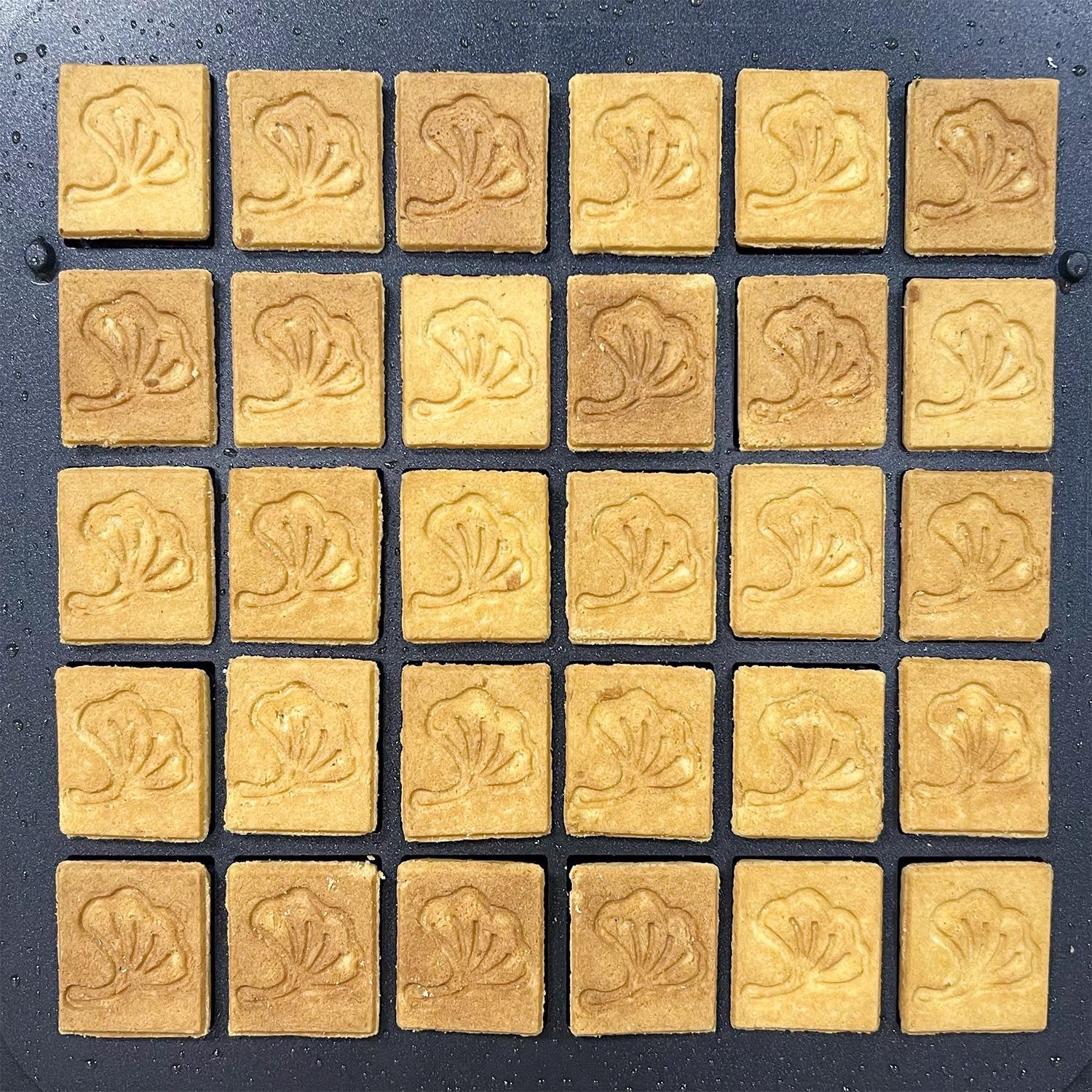 Japão máquina de biscoito imprensa manteiga areia tartlet shell maker wafer biscoito fabricante bolo máquina