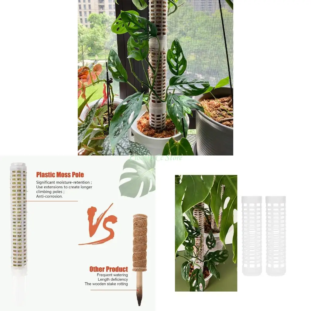 

X90f растения скалолаза