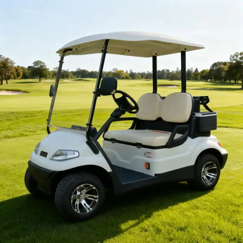 

Компактная 2-местная тележка для гольфа, простая в приводе и в парке, низкая стоимость обслуживания, идеально подходит для личного использования в саду