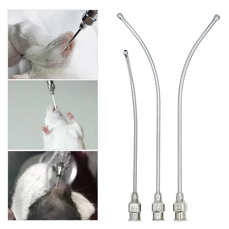 Stainless Steel Birds Feeding Syringe Tube Nozzle Rats and Mice/Parrots/Birds/Poultry/Pets Bend Needles Gastric lavage needle