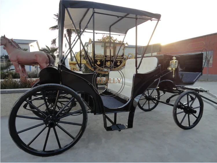 Fabricante de coches de Cenicienta, carro eléctrico para caballos, carro eléctrico de doble hilera para bodas, a la venta