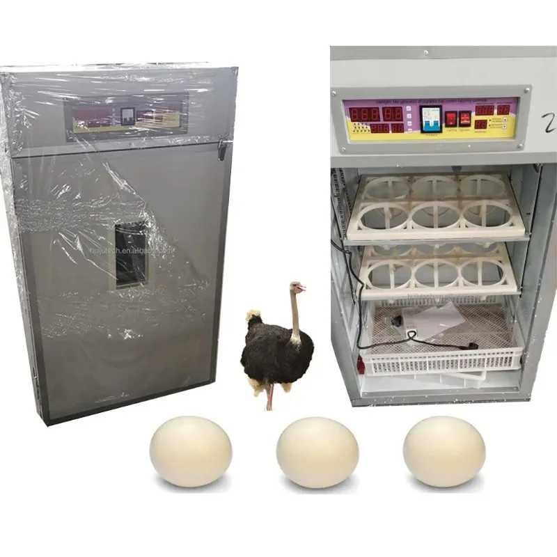Ostrich Egg HJ-I6 for Hatching 12 Eggs - Factory Direct Ostrich Egg Tray at Competitive Prices