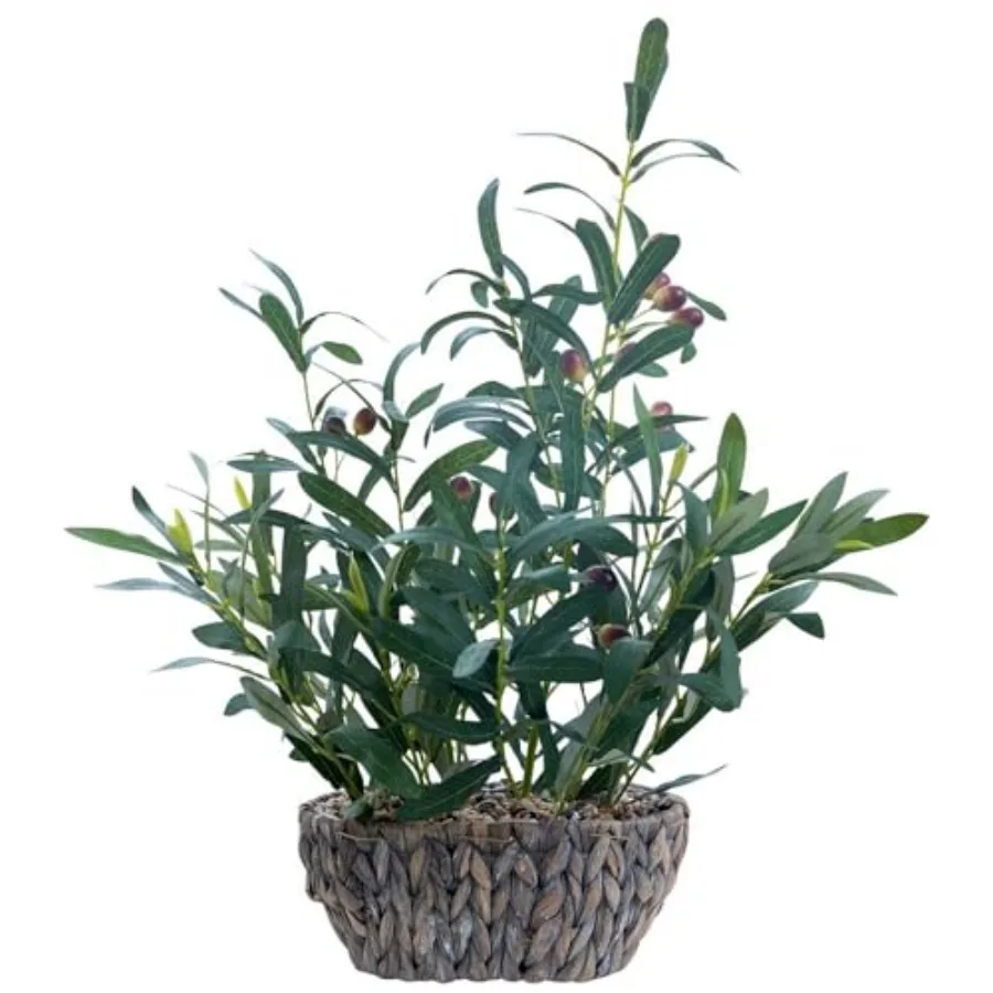 

Olive Fake Plants 21'' Tall Artificial Olive Branches with Lifelike Leaves in Oval Rattan Woven Planter Faux Plants Rustic Tabl
