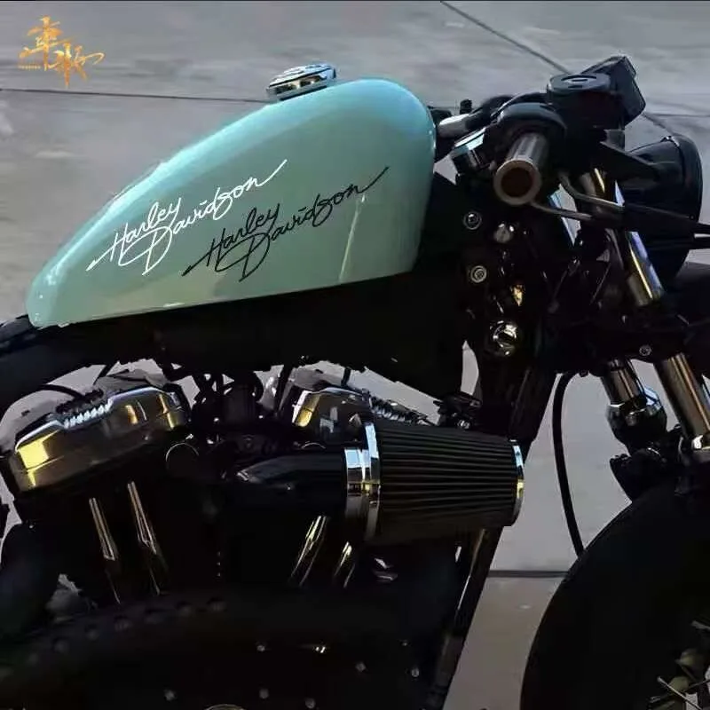 Adesivi Decorativi Personalizzati per Serbatoio Moto Harley Davidson Pan America ADV 1250 PA1250 PANAMERICA