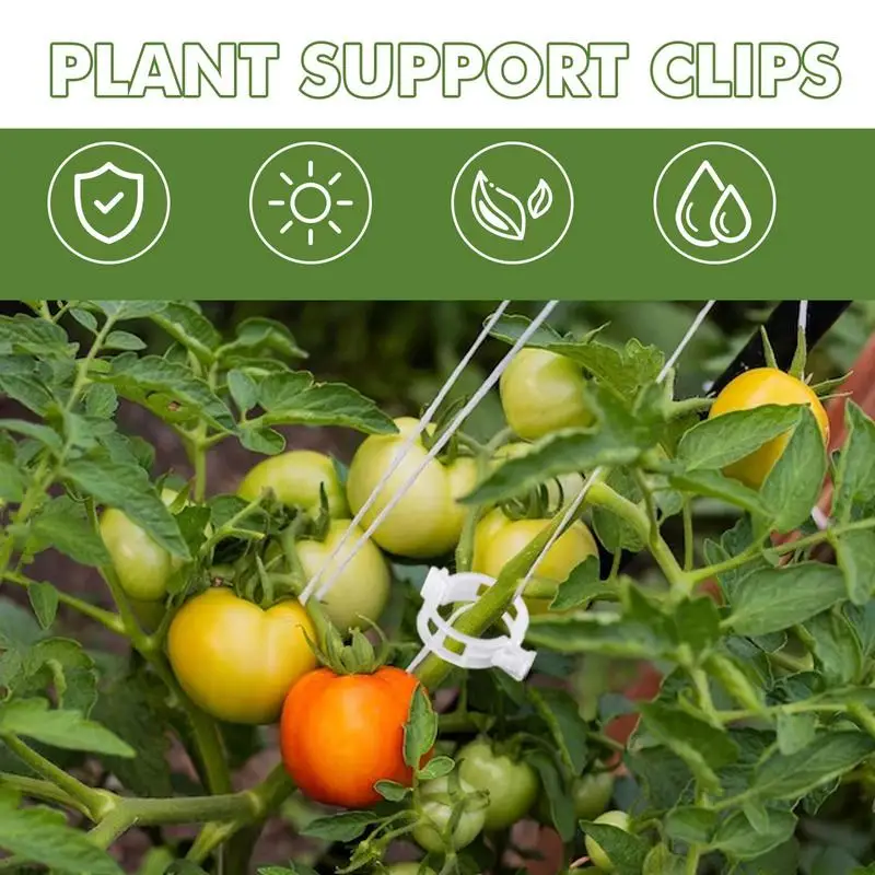 Clips For Plants Support 600pcs Garden Vegetable Vine Clips For Plant Support Convenient Grape Vine Garden Clips Plant Climbing