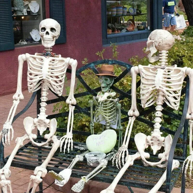 

Movable Skeleton Ornament Toys Skeleton Movable Posable Joints Decoration Full Life Size Human Skeleton Halloween Prop