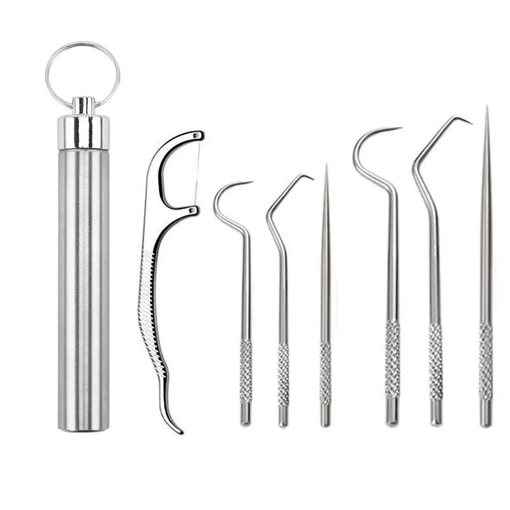 Aço Inoxidável Dente Pick Set, Chaveiro Titular, Dente Flosser, Bolso Toothpick, Dentes Limpador, Caixa De Armazenamento De Selo, Cuidado