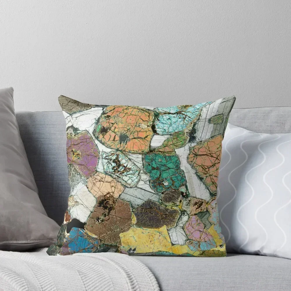 

Geology gift - Peridotite from Ardnamurchan, Scotland Rock Thin Section Microscope Photo Throw Pillow