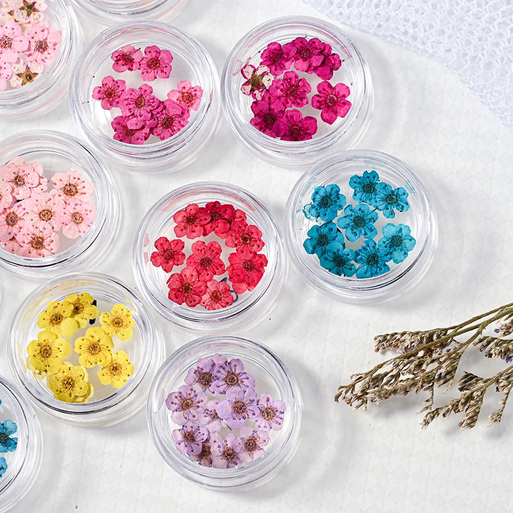 160Pcs=16box/set Mixed 3D Nail Mini Dried Flowers Sticker Kawaii Natural Floral Decal Real Natural Dry Flowers Nails DIY  Suppli