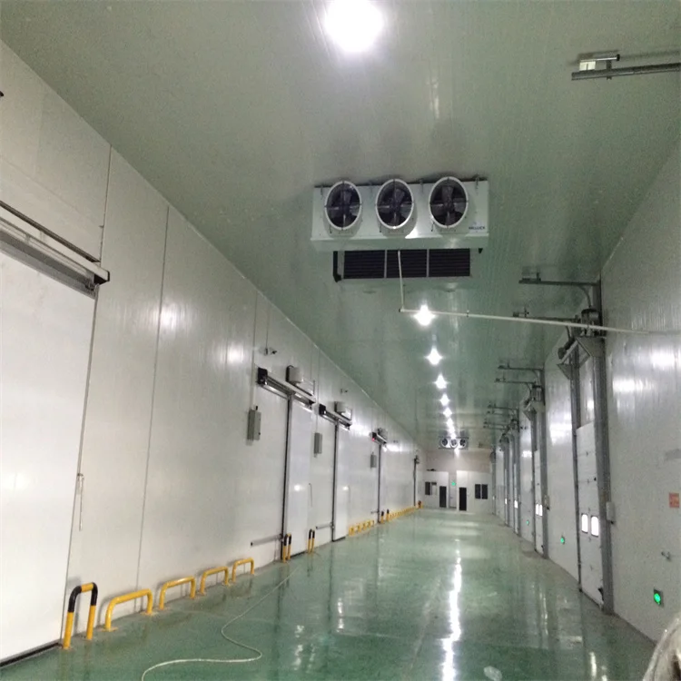 Modern Preservation for Meat and Vegetables Efficient Cold Room Storage Business System Refrigerated Warehouse