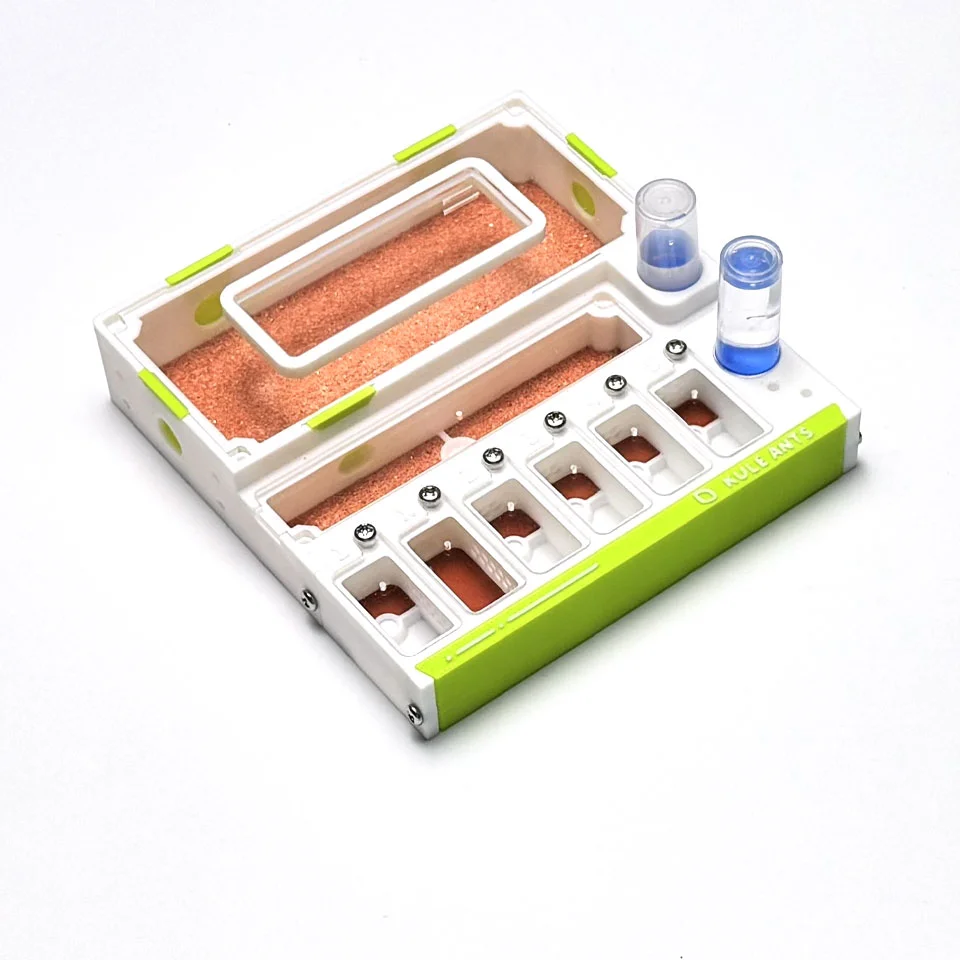 Dry and wet separation multi-queen nest, suitable for multi-queen or single-queen Camponotus, new queen ant nest, 3D printed