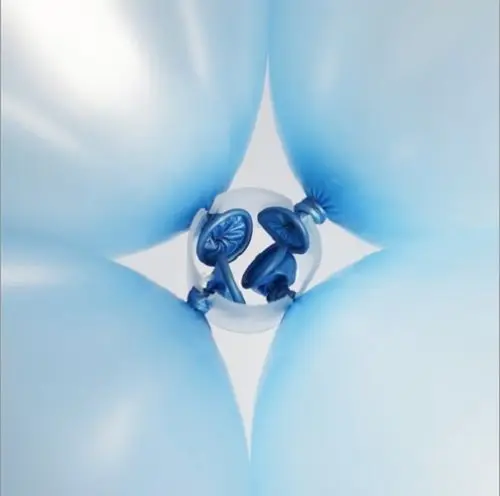 

200Pcs Balloon Arch Connectors Plastic Buckle Clip Rings for Balloon Chain Easy Use Party Wedding Decoration Accessories