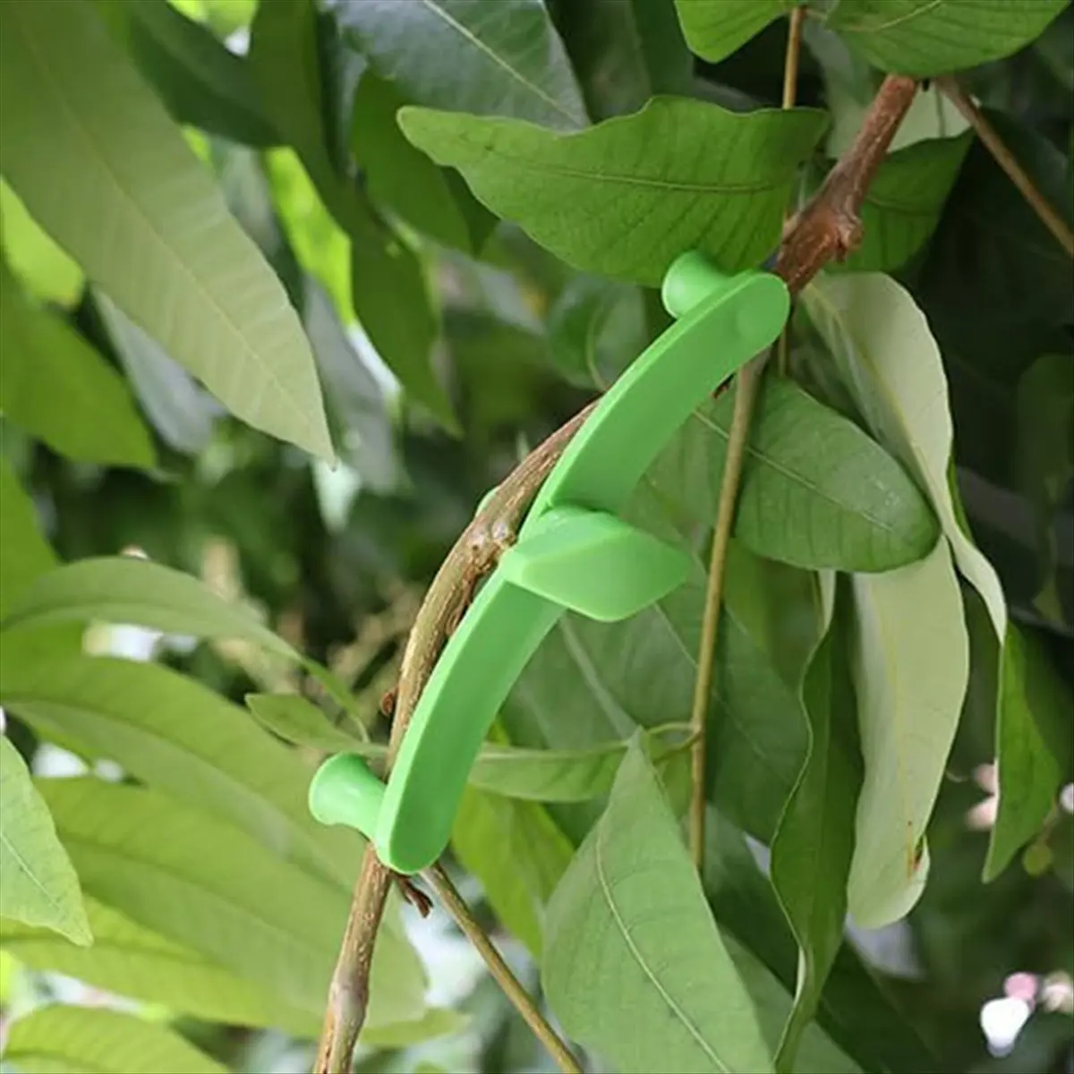 Spalmatori per arti, 25 pezzi Spalmatore per rami di alberi da frutto Nuovo estrattore per spalmare rami per modellare, Strumento per piegare rami di piante