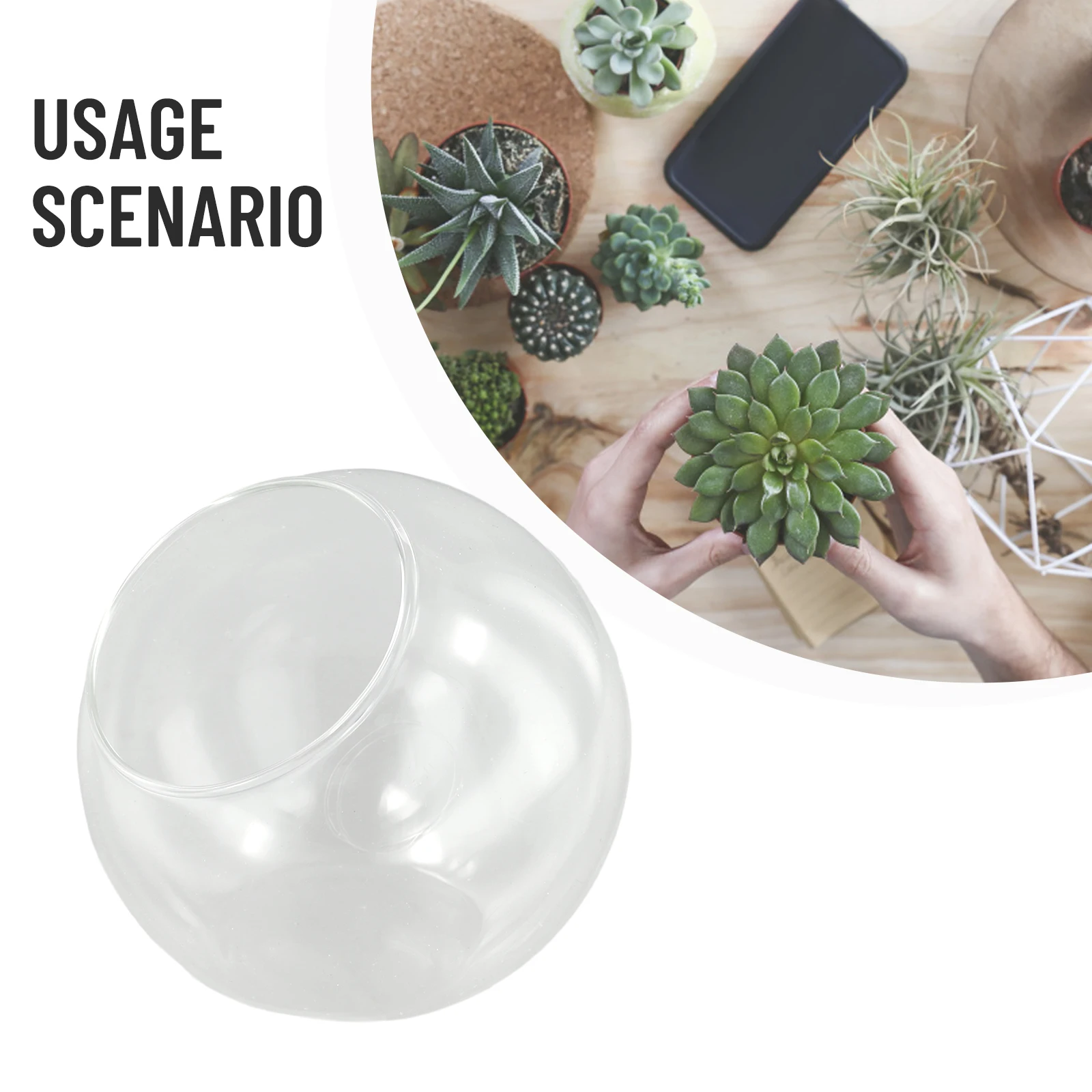 Open Mouth Glass Terrarium Vase for Succulent Plants Clear Borosilicate Glass with Hole for Easy Filling and Display Purposes