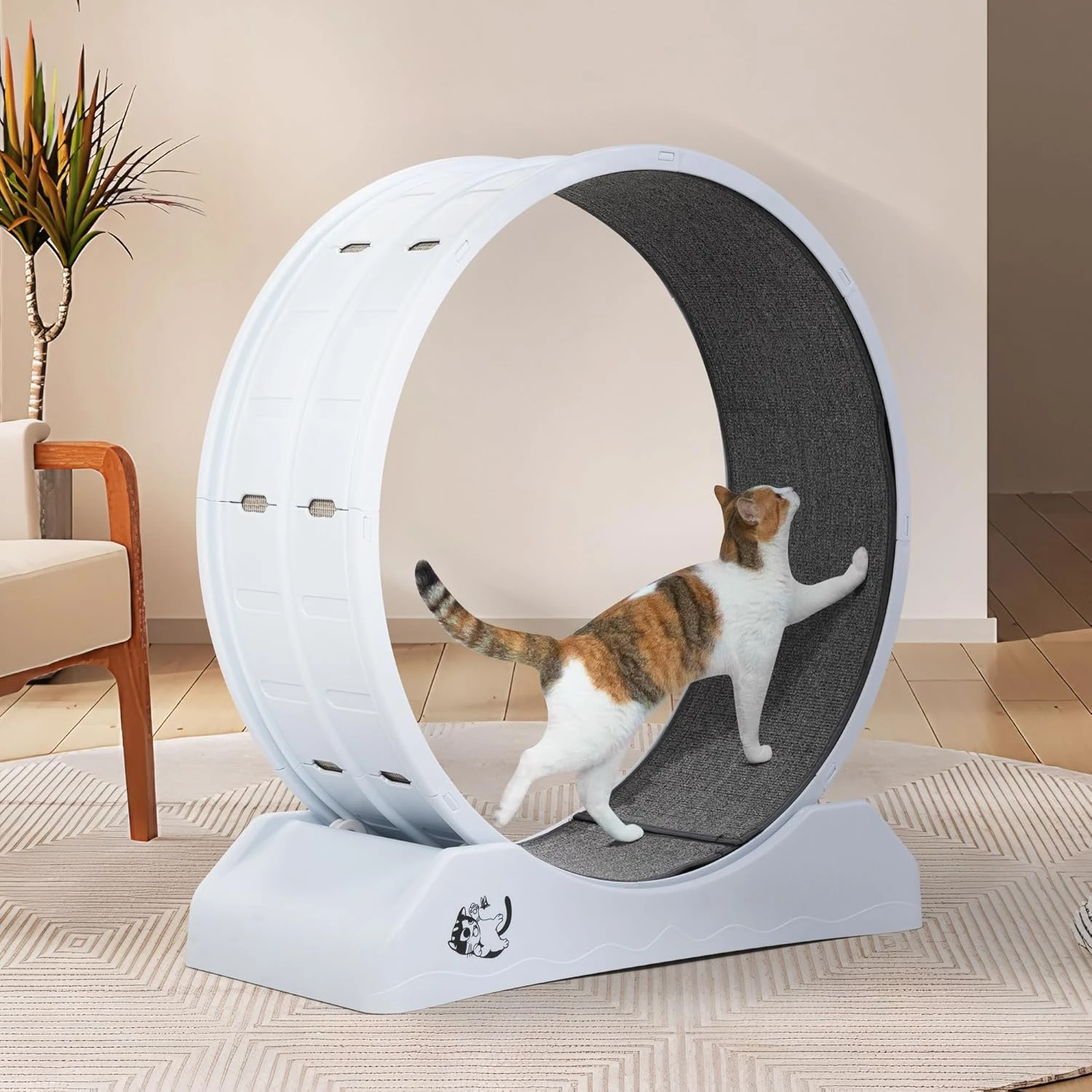 

Large Cat Exercise Wheel with Carpeted Runway for Indoor Cats, Cat Treadmill with Locking Mechanism, Fitness Weight Loss Device,