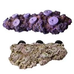 Vastocean Aquarium Magnetic Coral Frag Rock Rack Holder Turtle Pier Fish Tank Lanscaping Stone
