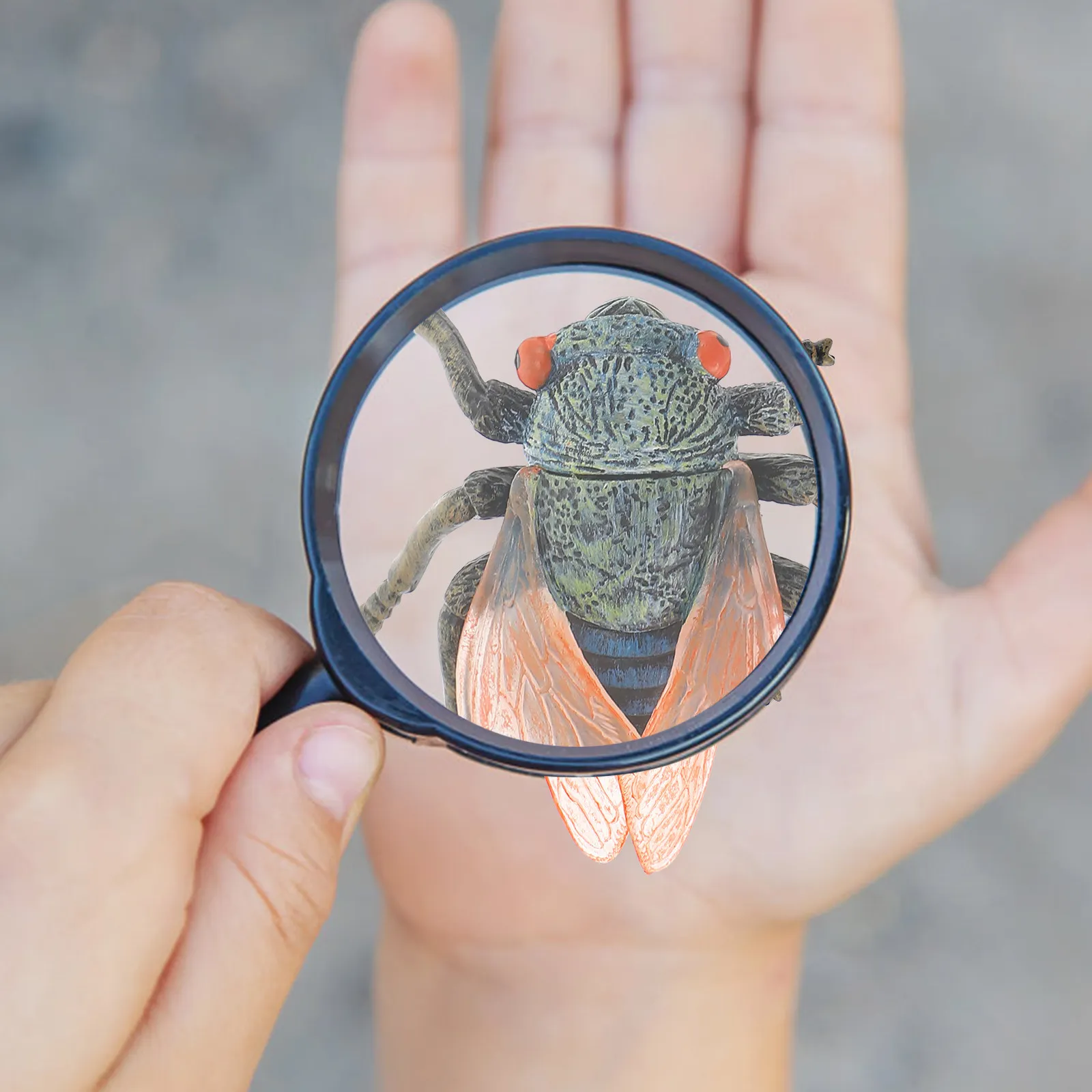 

2Pcs Animal Simulation Cicadas Lifelike Insect Educational Cognitive Props Plastic Bugs Learning for Children Nature Fun