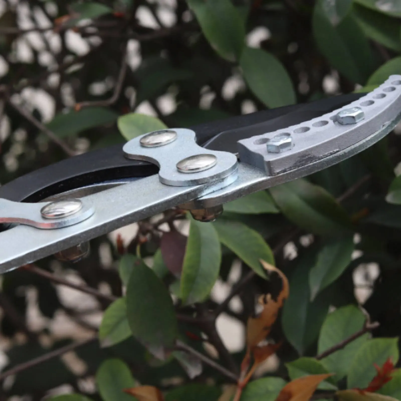 Telescopic Branch Pruners Sharp Blade Sturdy Duty Tree Pruners Pruning Shears Comfortable Grip Gardening Tool Non-Stick Coating view 5