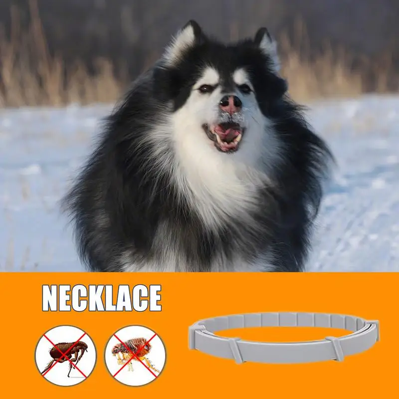 Dog Tick Collar 8 Month Waterproof Tick Removal Tool Comfortable Neckwear Long Lasting Protection Tick Collars For Cats Kittens