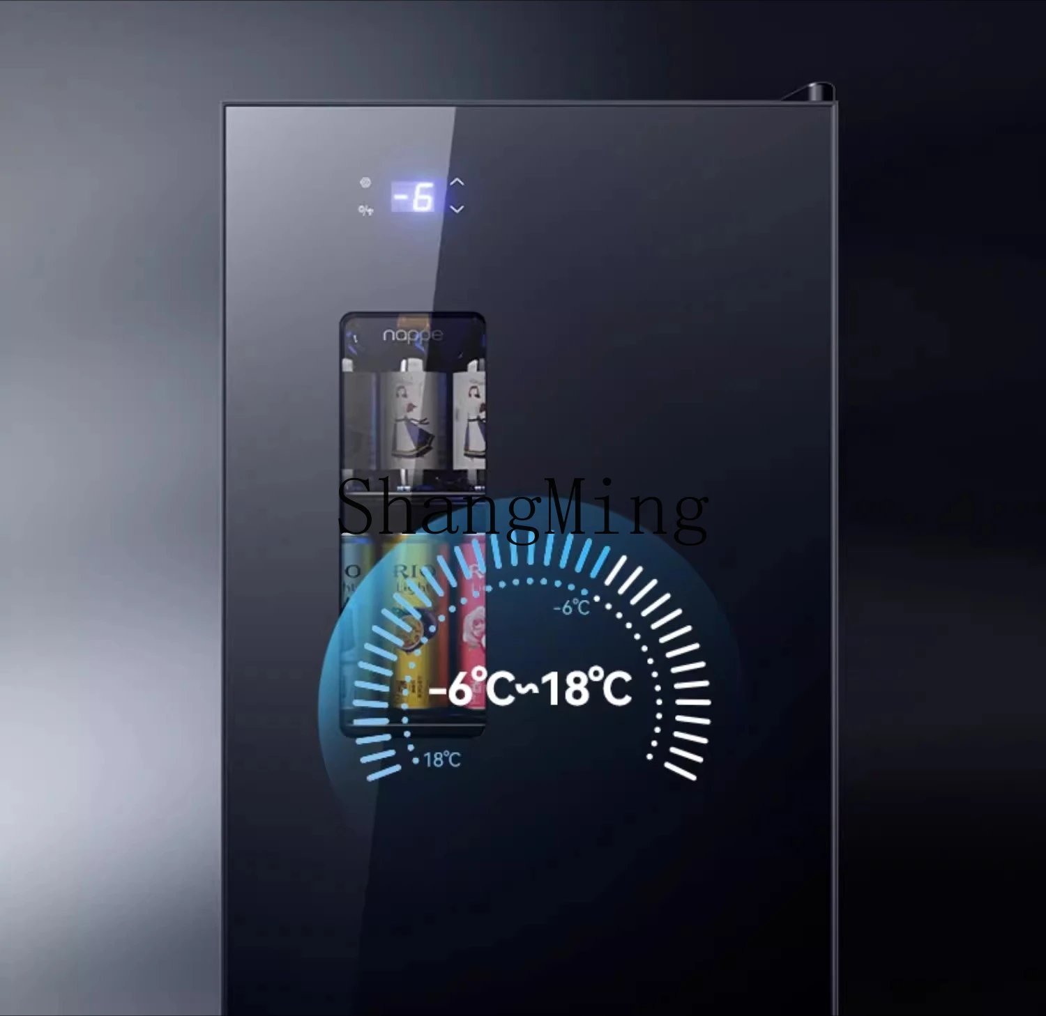 ZYY armadio refrigerato per la conservazione della freschezza del frigorifero di grande capacità per bevande del piccolo soggiorno domestico