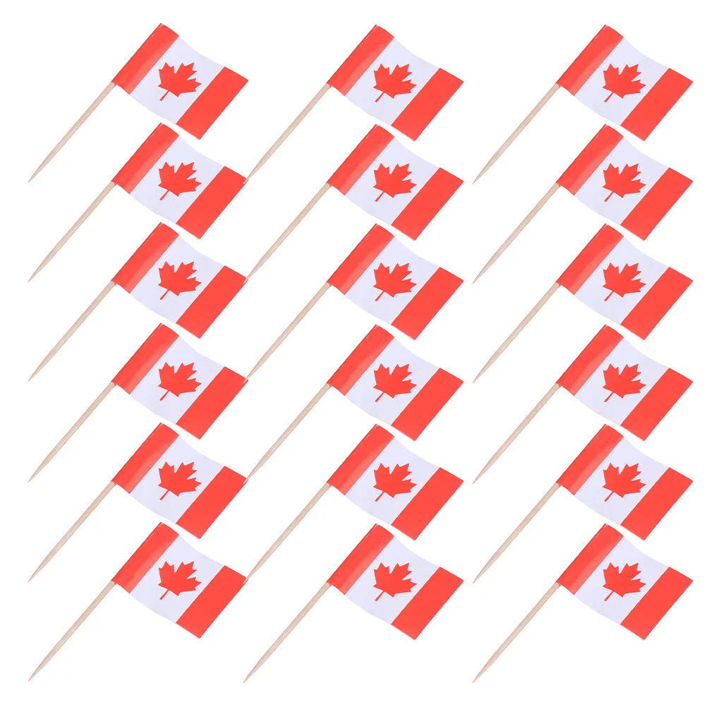 150Pcs Canada Flag Toothpick Double Sided Mini Food Picks Cake Toppers Cupcake Flags Appetizer Fruit Markers Party Decorations