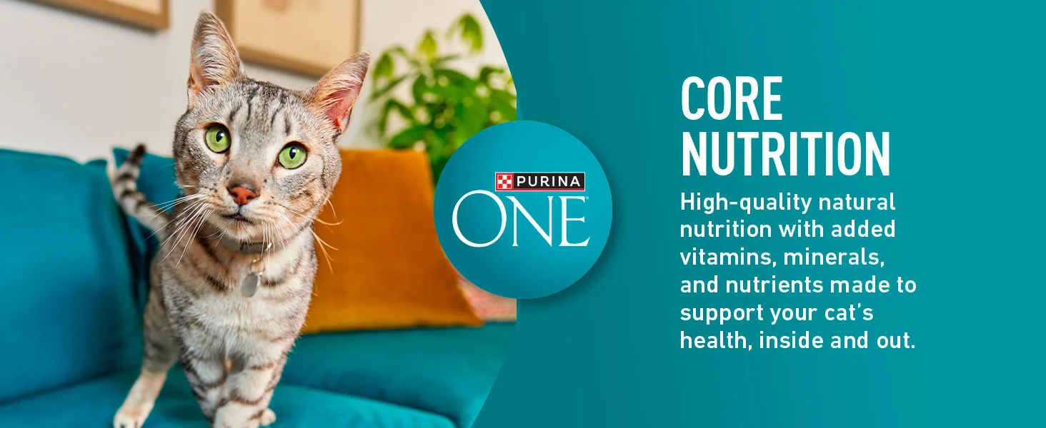 Core Nutrition copy next to ONE cat