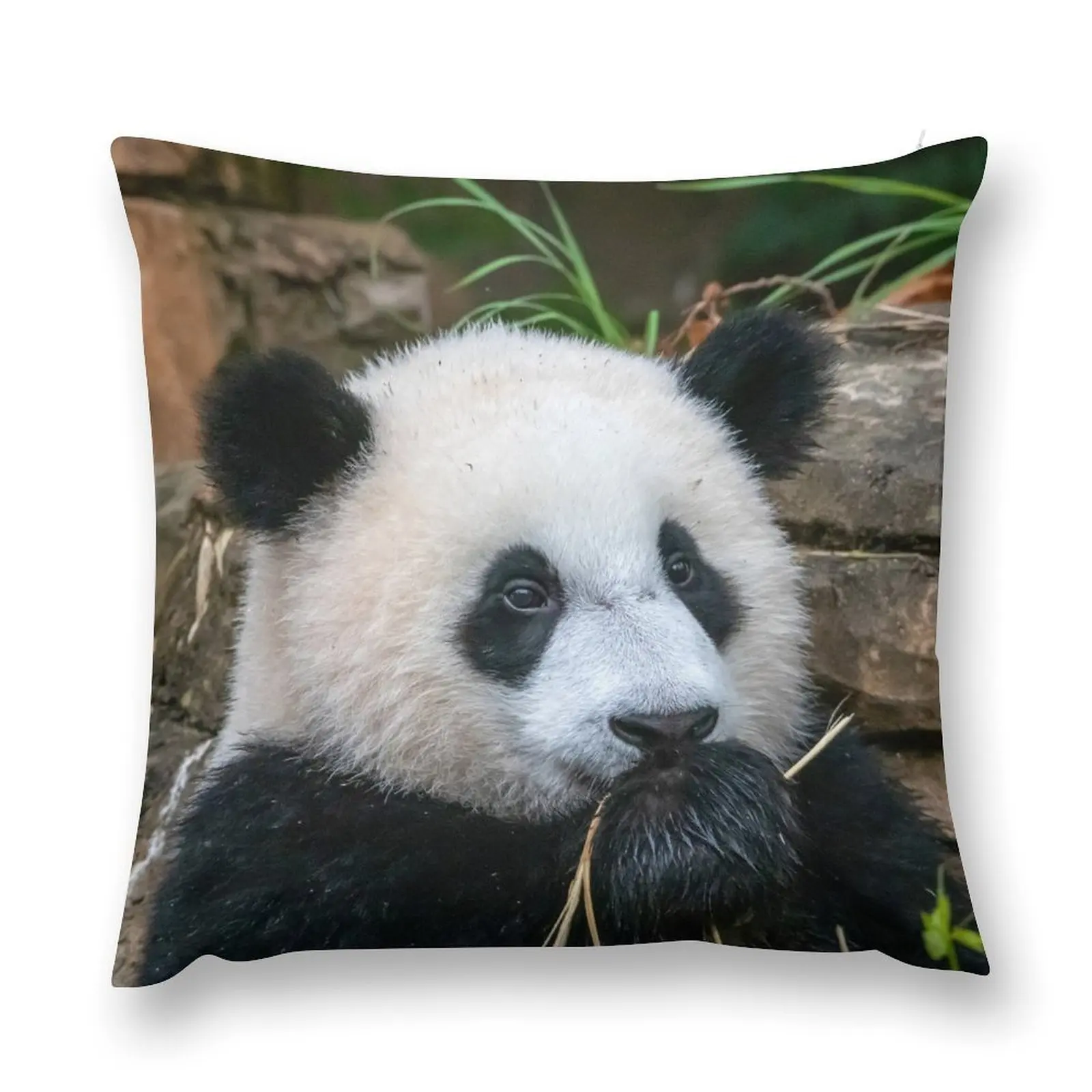 

Giant Panda Xiao Qi Ji at the National Zoo Throw Pillow Sofas Covers Decorative pillow case Cushions For Decorative Sofa pillow