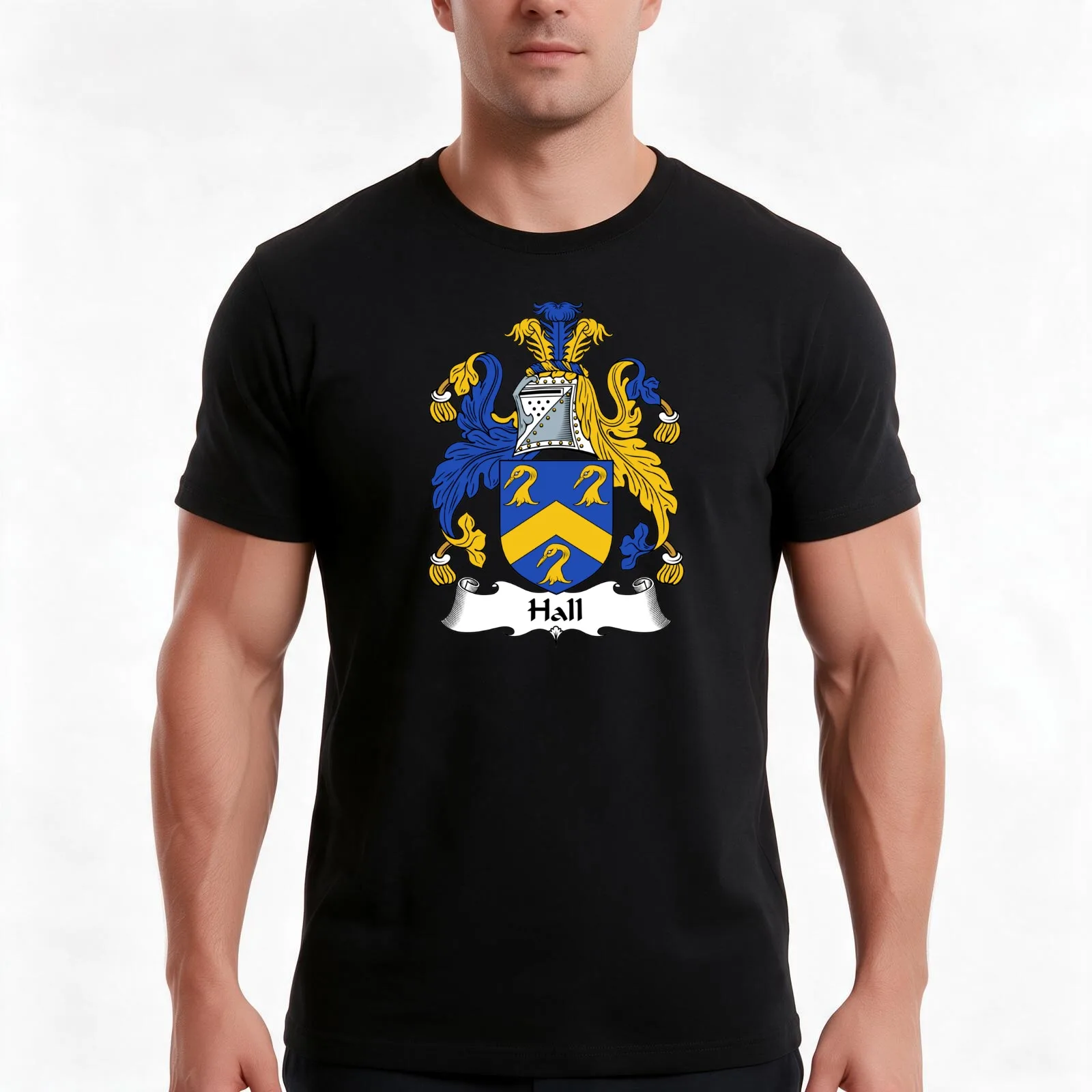 Hall Coat of Arms / Hall Family Crest T-Shirt, Summer Casual Cotton Tee, Oversized Streetwear Tops, Vintage Graphic Print
