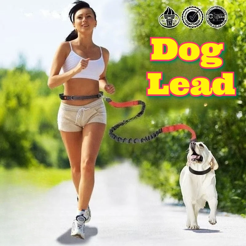 

Waist Leash Dogs Hands Free Bungee Retractable Rope Anti Pull Shock Absorbent Reflective Walking Jogging Running Pet Training