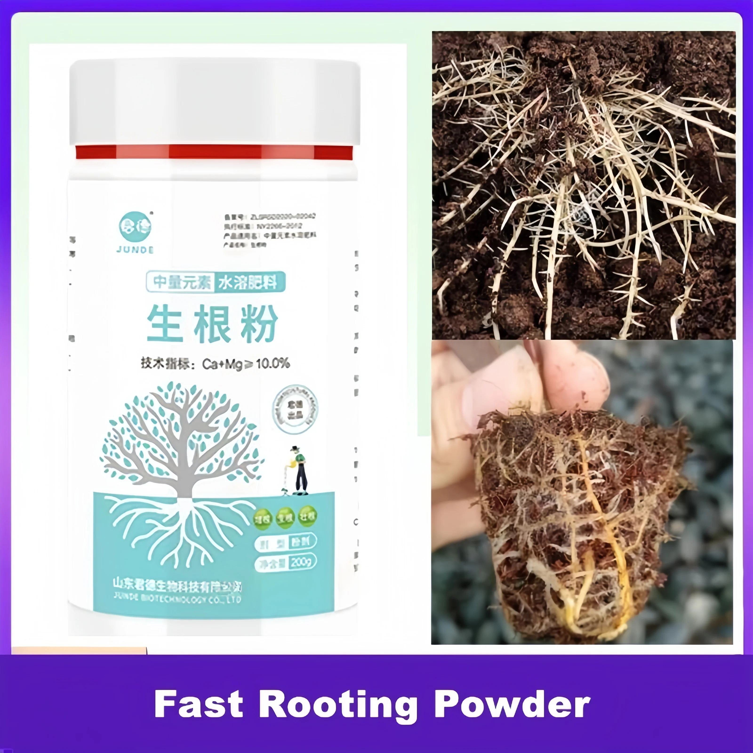 200g Powerful Rooting Powder Rooting Hormone Powder Improve Flowering Cutting Survival Rate Plants Grow Cut Dip Fertilizer