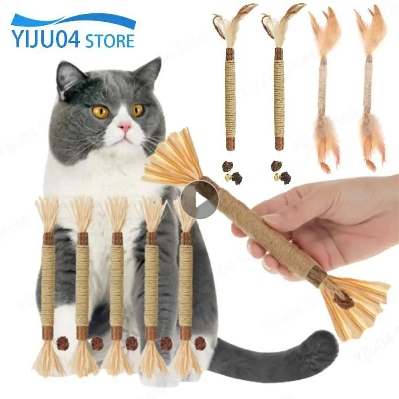 Cat Toys Silvervine Chew Stick Pet Snacks Sticks Natural Stuff With Catnip For Kitten Cats Cleaning Teeth Cat Accessories Katzen