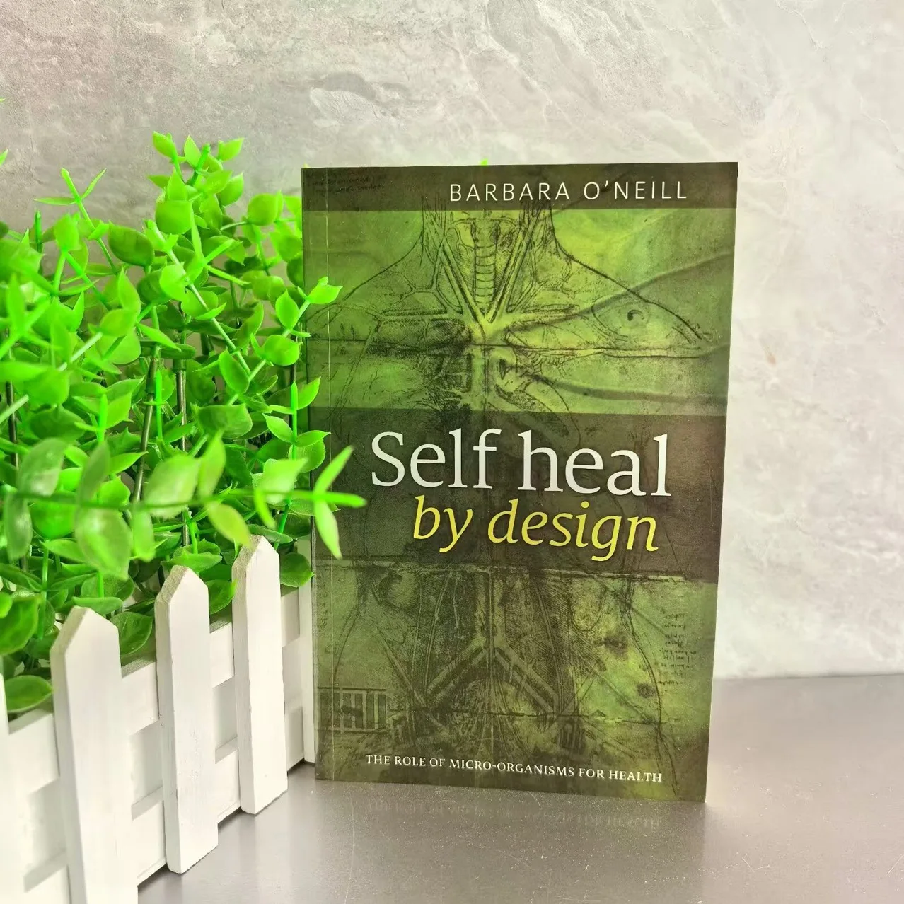 Self Heal By Design,By Barbara O'Neill,Sustain Me,The 9 Foundational Pillars for Health Guide Book A Handbook of Natural Remedie