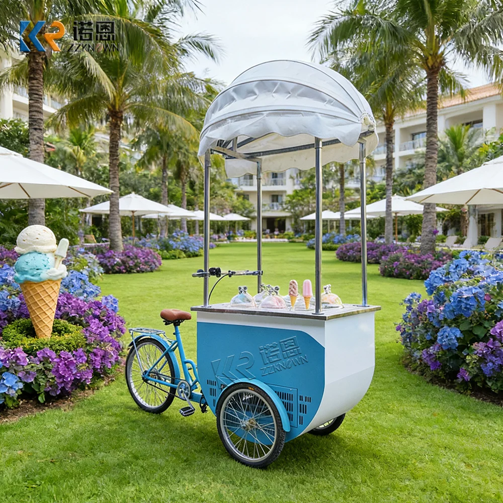 

Outdoor Food Tricycle Cart Mobile Street Dessert Coffee Snack Kiosk Mobile Food Truck Ice Cream Cart For Event Promotion