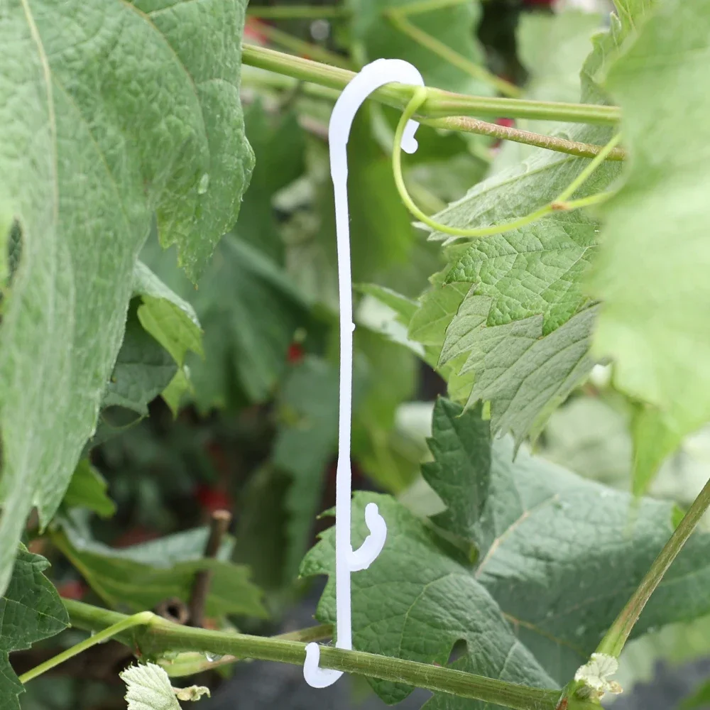 100-1Pcs Plant J Shape Hook Tomato Support Vegetable Vines Fixed Buckle Ear Hook Clip Gardening Plant Accessories Fruits Link