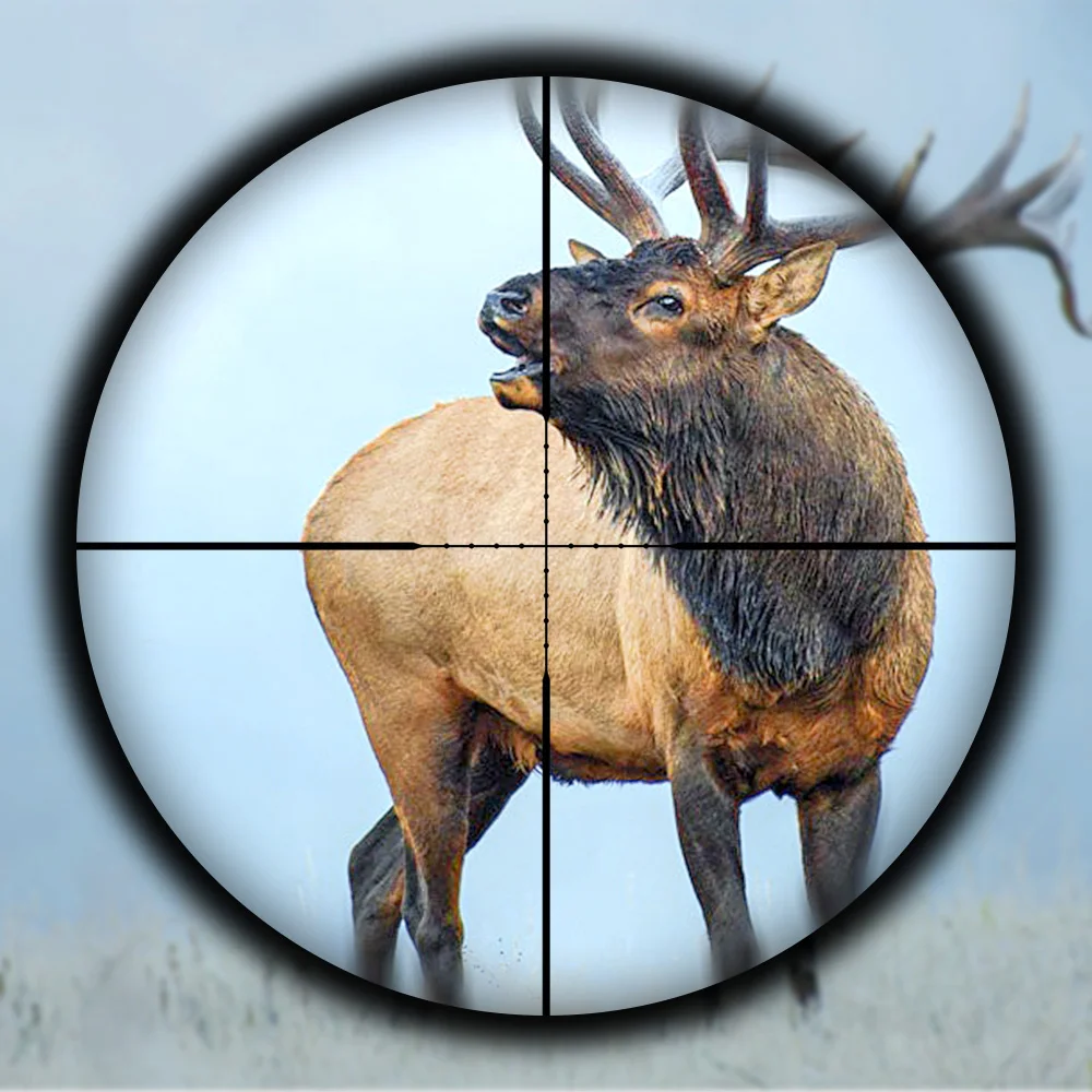 SPINA OPTICS JS 3-9X40 Glass Etched Reticle Optical Spring Rifle Carbine Scope Sight w Picatinny&Dovetail Mount&Bubble level view 3