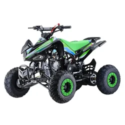 체인 드라이브 저렴한 농장 어린이 ATV 110cc, 어린이 맞춤형 자동 12V 5AH, 어린이 쿼드 ATV 110cc, 7 인치