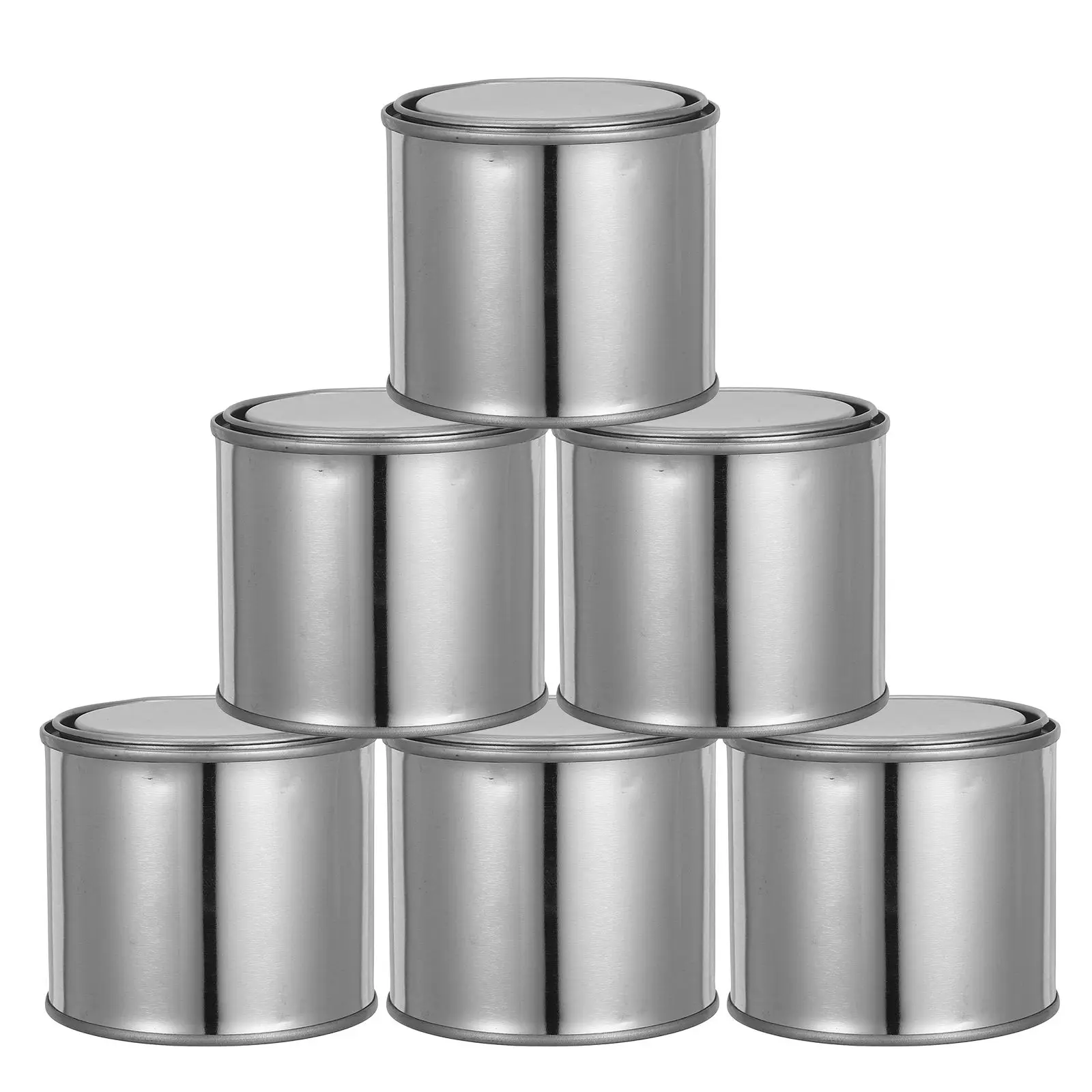 

6 Pcs Paint Adjustment Can Bucket Model Storage Jars Quart Metal Cans Empty for Party Half Gallon Palette