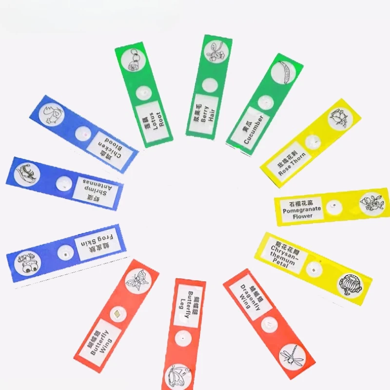 Sections biologiques en plastique pour enfants, 12/48 pièces, avec une tranche d'échantillon microscopique pour plantes et insectes animaux et légumes