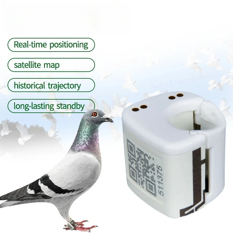 

Кольцо GPS-трекера IP67 Водонепроницаемая сеть 2G Режим GSM ГЛОНАСС для птиц и голубей