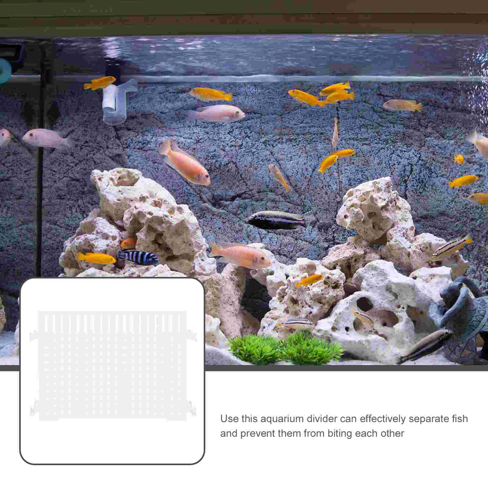 Fish Tank Isolation Board Separator Acrylic Cover Plate Simple Divider Aquarium