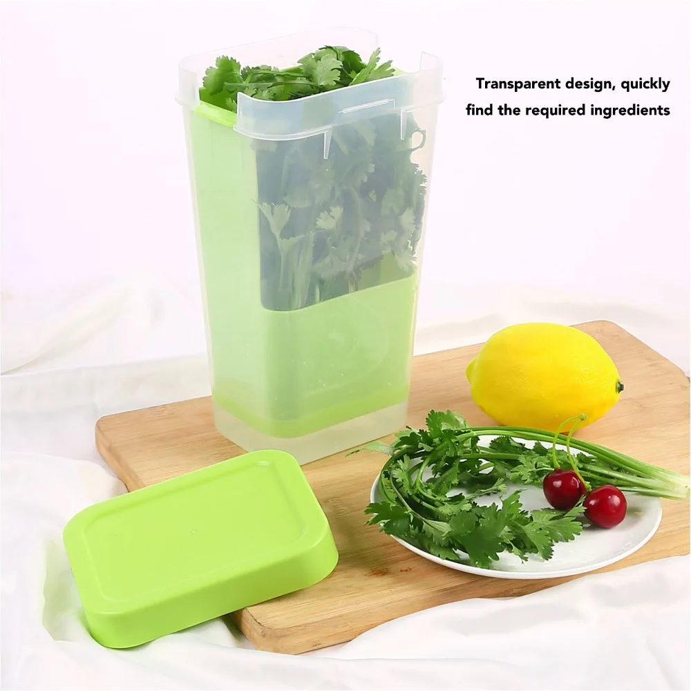 Reusable Plastic Cilantro Storage Container Transparent Vegetables Keeper Herb Saver For Refrigerator