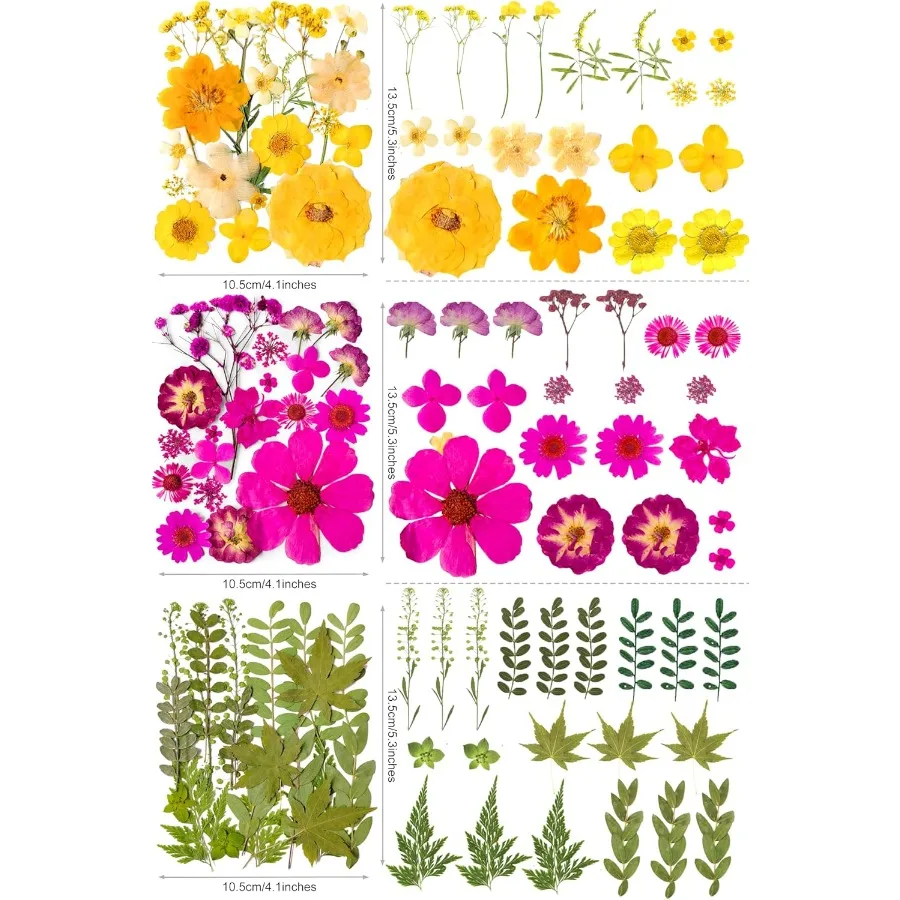 레진 공예용 건조 압화 320개 대량, 진짜 천연 압화와 두 장의 나비 스티커 포함, 이상적인 선택