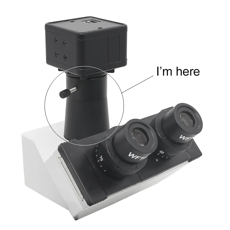 Microscopio biologico adattatore fotografico per fotocamera USB per biomicroscopio trinoculare C-mount da 23.2mm a M23.2 accessori parte