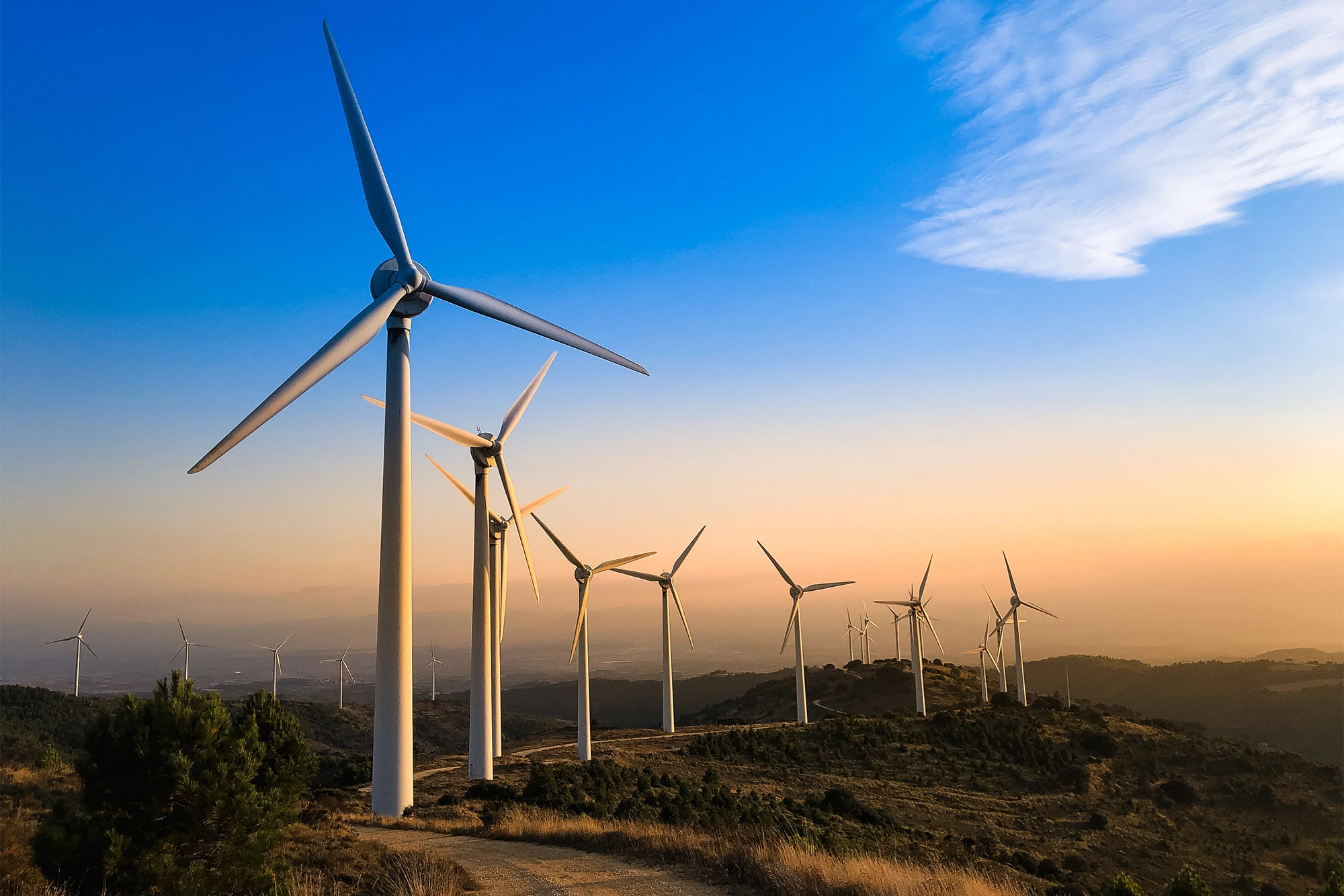Wind Turbine Solar System 1kw  - Renewable Energy Wind Solar 评论和价格