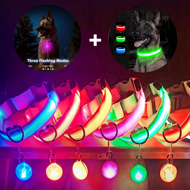 Collar de seguridad para perros pequeños y gatos, Collar de seguridad brillante con carga Usb y colgante, desmontable, luz Led de lujo brillante,