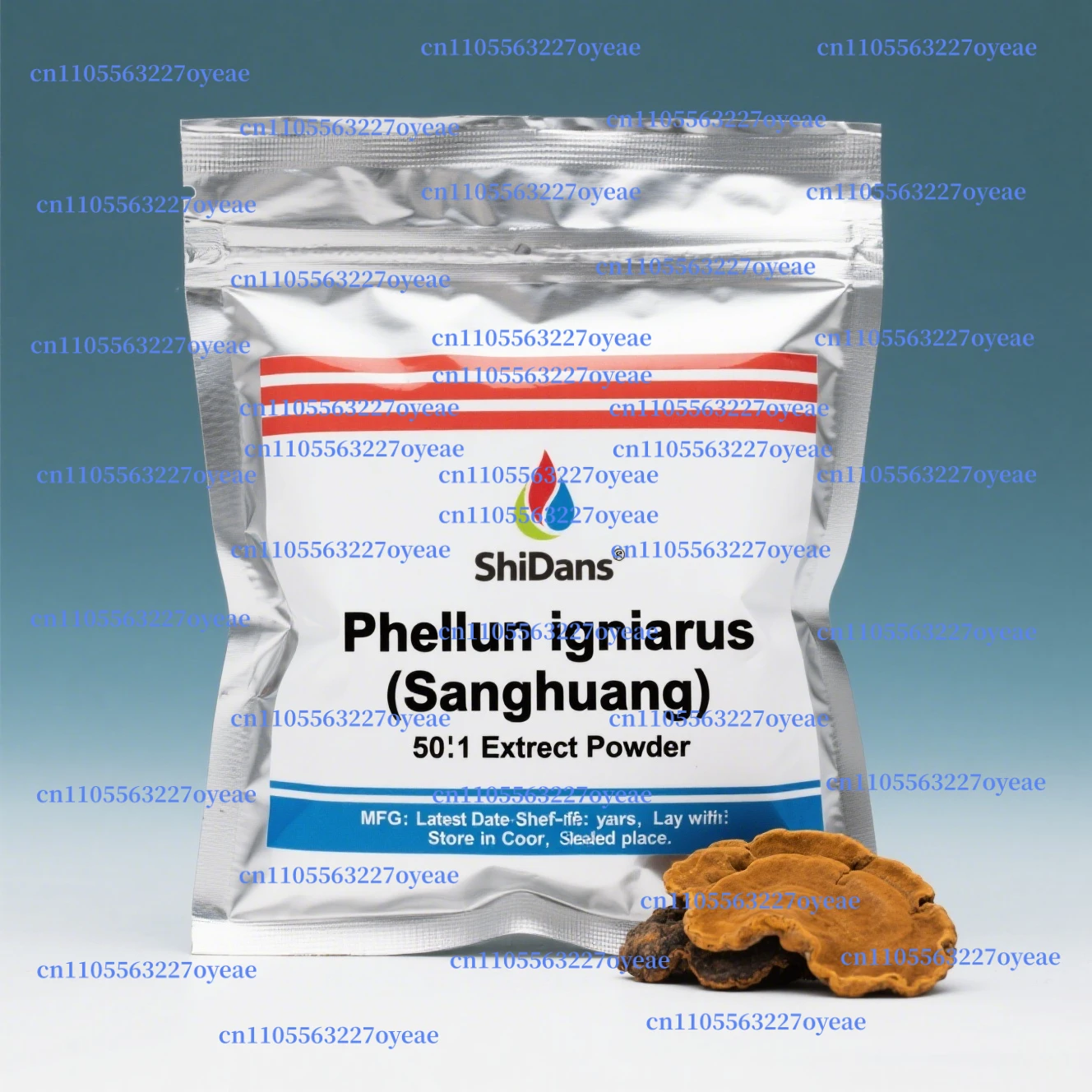 

Глобальная индивидуальная упаковка для экстракта спинолера Phellinus 30:1 с сумкой из алюминиевой фольги для быстрой доставки