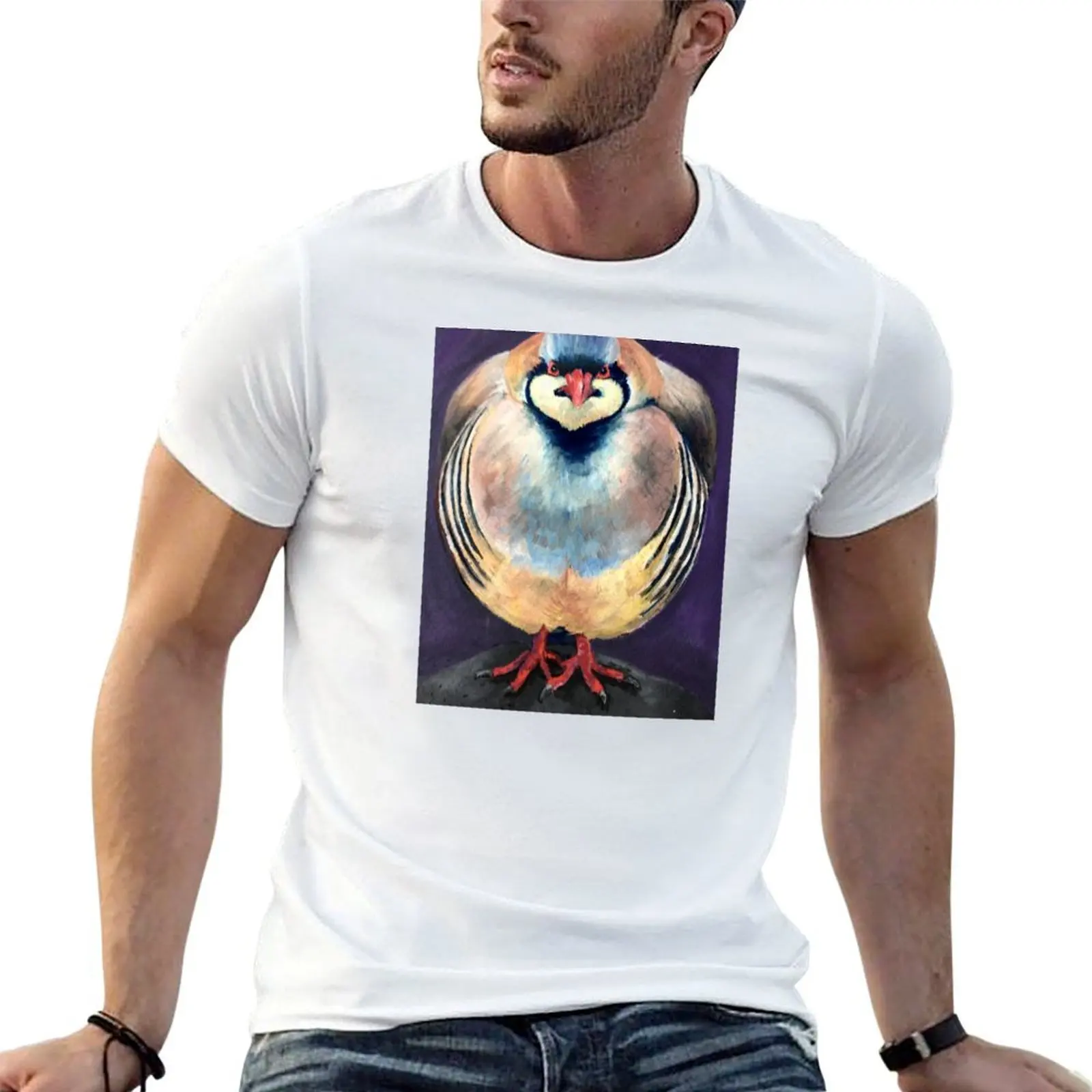 

A handpainted Chukar Partridge on black watercolor paper. T-Shirt man graphic t shirt man tshirt T-Shirt